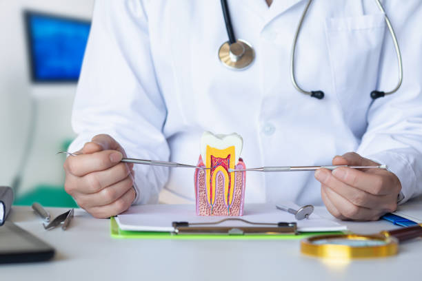 Best Emergency Treatment for Oral Infections in Loudoun Lley Estates, VA